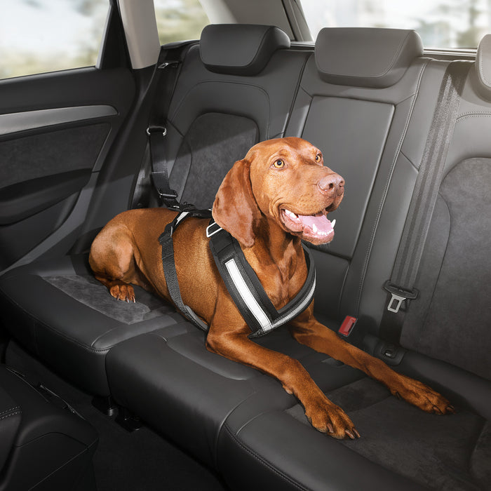 Audi Safety Harness For Dogs Large