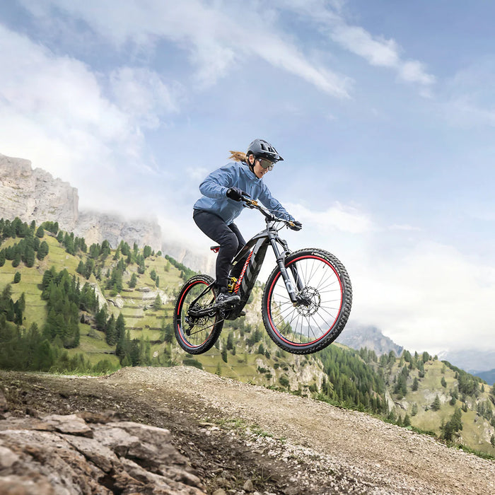 Audi Electric Mountain Bike